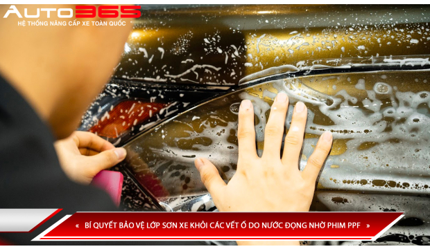 BÍ QUYẾT BẢO VỆ LỚP SƠN XE KHỎI CÁC VẾT Ố DO NƯỚC ĐỘNG NHỜ PHIM PPF